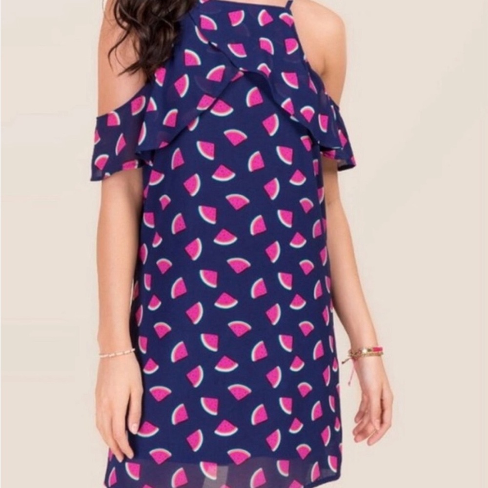 Blue Rain | Francesca’s Collection | Watermelon Dress